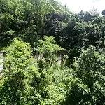 Refugio Em Copa