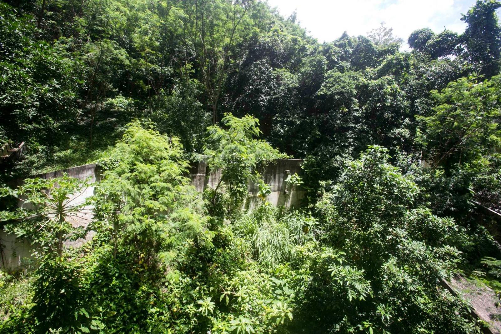 Apartamento Refugio Em Copa *